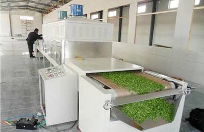 微波蔬菜烘干機(jī) 果蔬脫水干燥與殺菌的現(xiàn)代化設(shè)備