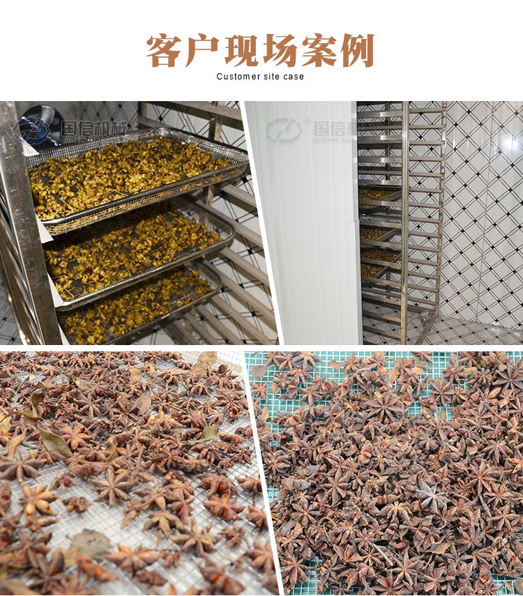 國(guó)信八角烘干機(jī) 茴香干燥、中藥材脫水的全自動(dòng)化解決方案